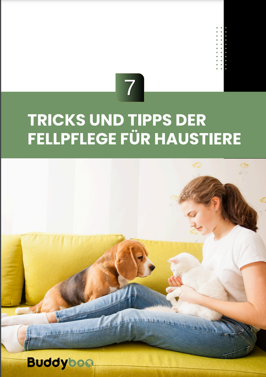 7 Tricks und Tipps der Fellpflege für Haustiere